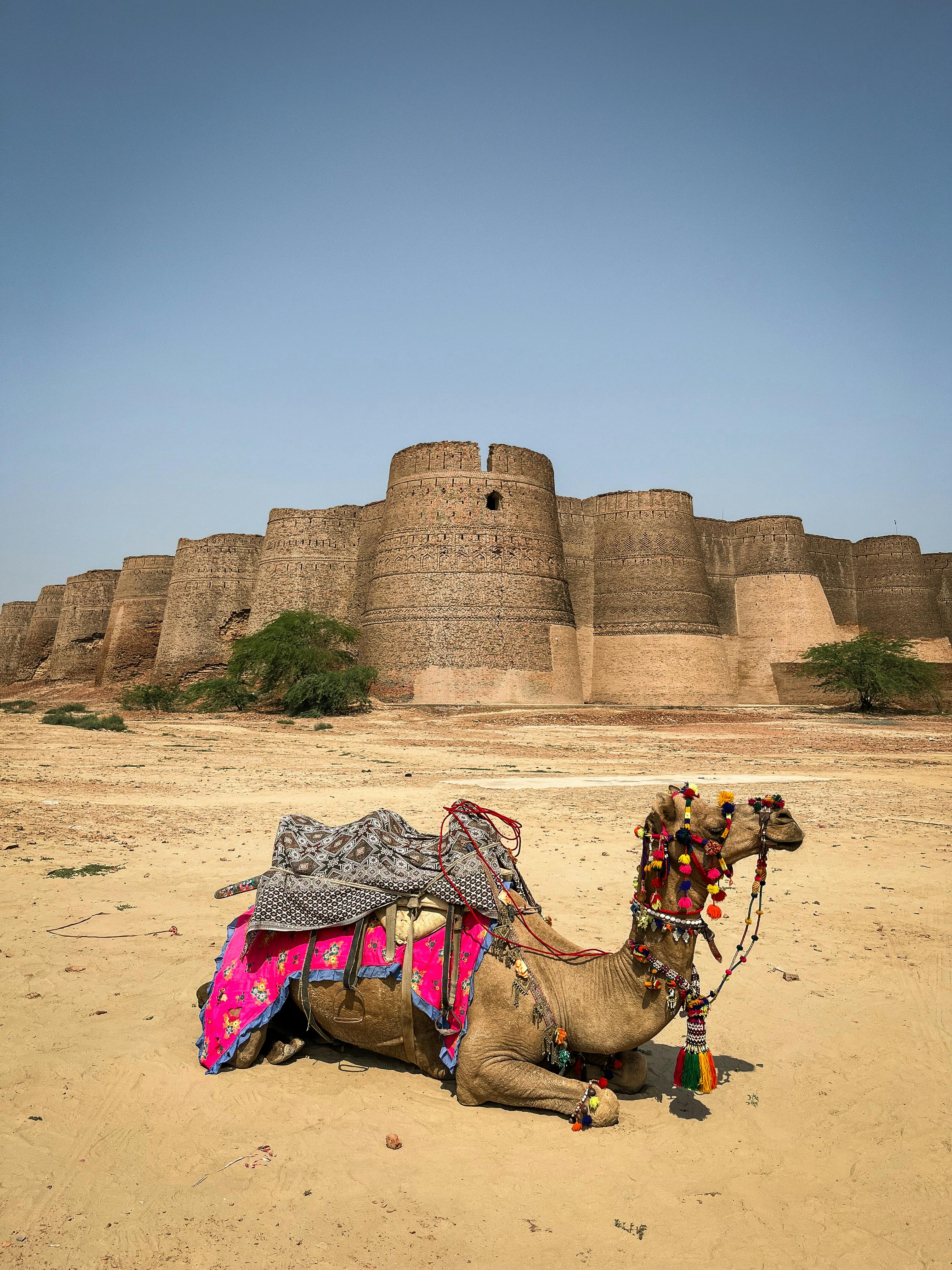 Cholistan