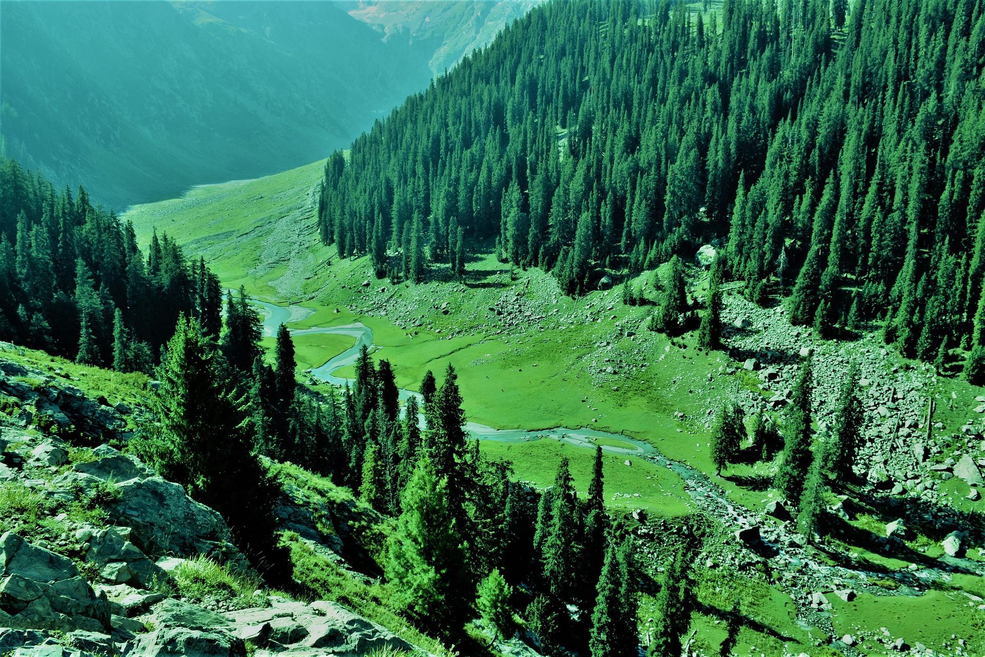 Kumrat
